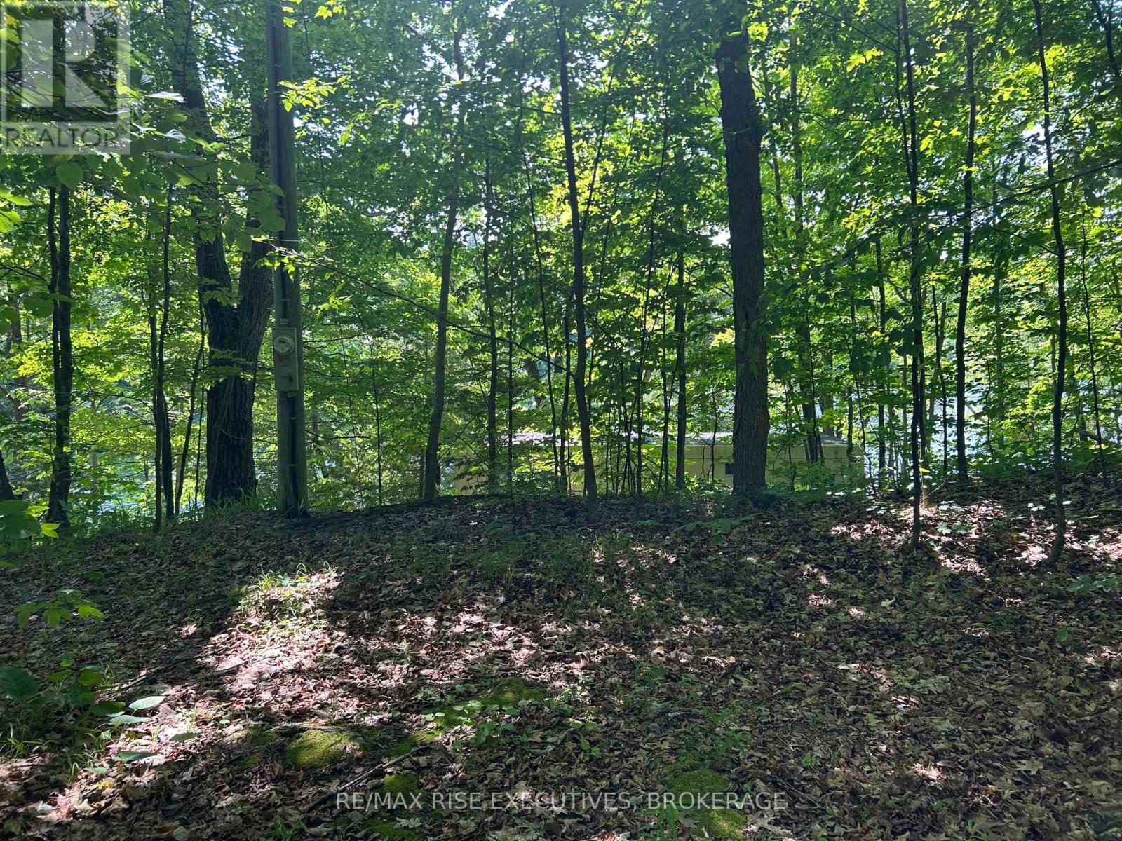 333 Steve Babcock Lane, Frontenac, Ontario  K0H 1W0 - Photo 31 - X12246887