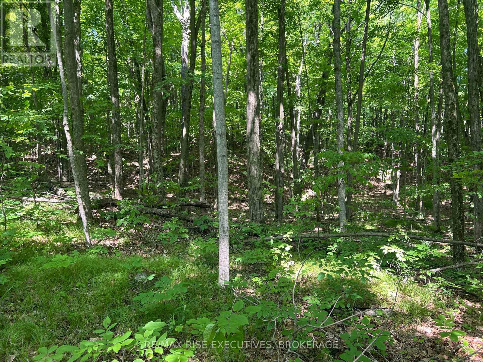 333 Steve Babcock Lane, Frontenac, Ontario  K0H 1W0 - Photo 36 - X12246887