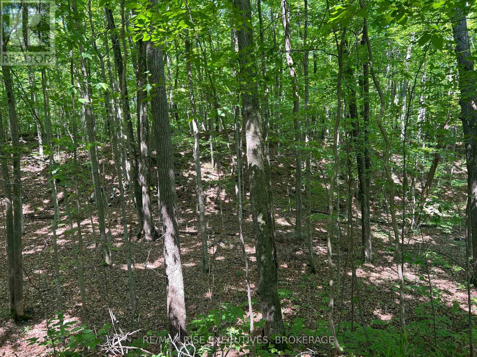 333 Steve Babcock Lane, Frontenac, Ontario  K0H 1W0 - Photo 37 - X12246887