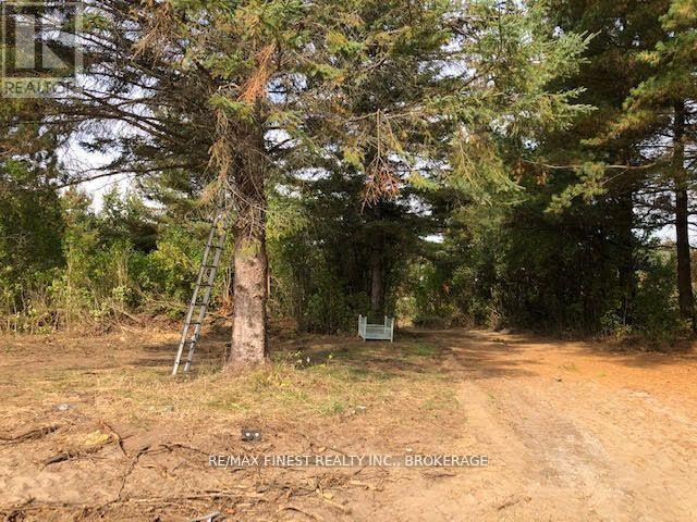 1380 Westport Road, Frontenac, Ontario  K0H 1T0 - Photo 6 - X12247487