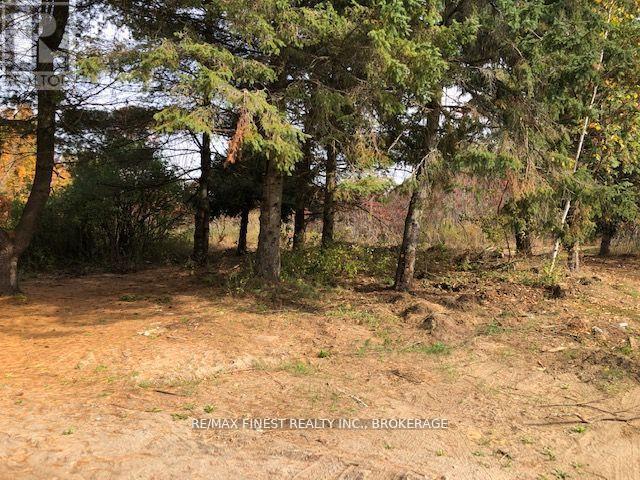 1380 Westport Road, Frontenac, Ontario  K0H 1T0 - Photo 8 - X12247487