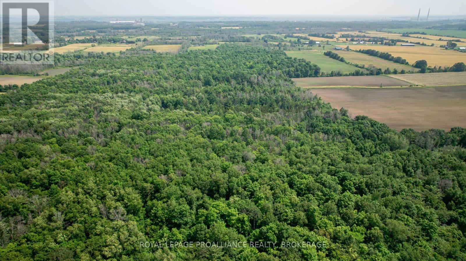 Lot C Townline Road, Loyalist, Ontario  K0H 1G0 - Photo 16 - X12262180