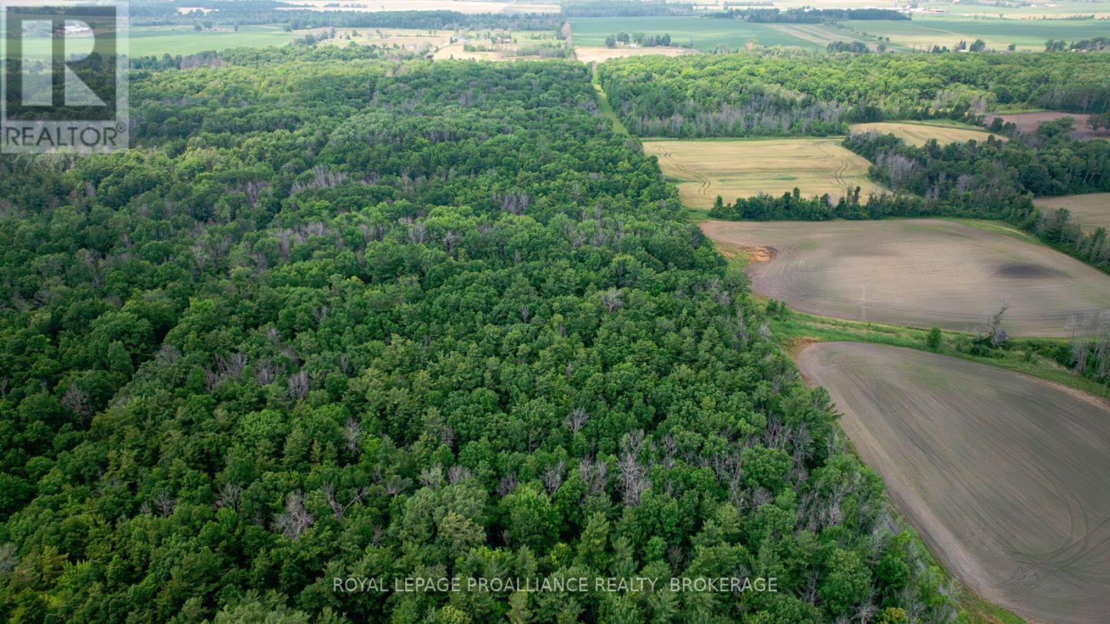 Lot C Townline Road, Loyalist, Ontario  K0H 1G0 - Photo 4 - X12262180