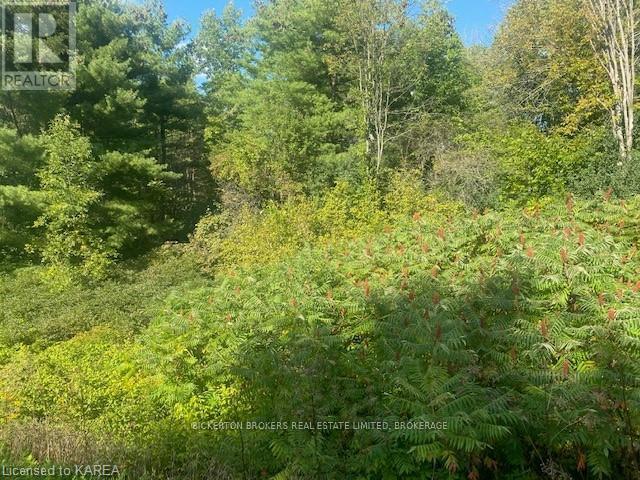 000 County Rd 11, Jones Falls Road, Rideau Lakes, Ontario  K0G 1E0 - Photo 2 - X12277159