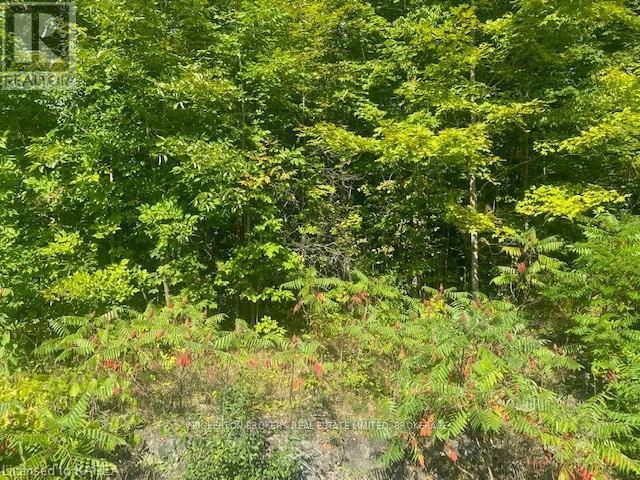 000 County Rd 11, Jones Falls Road, Rideau Lakes, Ontario  K0G 1E0 - Photo 3 - X12277159