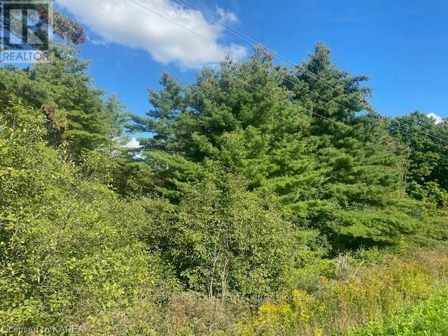 000 County Rd 11, Jones Falls Road, Rideau Lakes, Ontario  K0G 1E0 - Photo 4 - X12277159