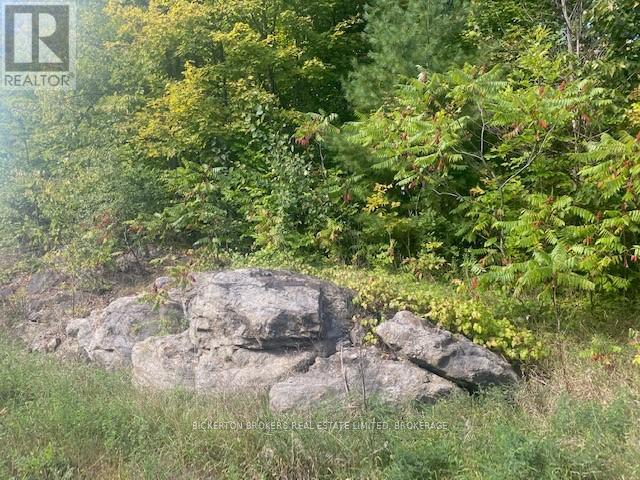 000 County Rd 11, Jones Falls Road, Rideau Lakes, Ontario  K0G 1E0 - Photo 5 - X12277159