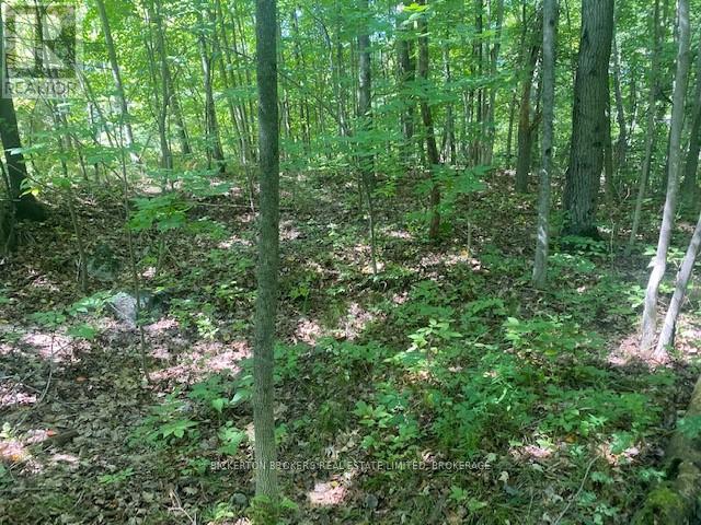 000 County Rd 11, Jones Falls Road, Rideau Lakes, Ontario  K0G 1E0 - Photo 8 - X12277159