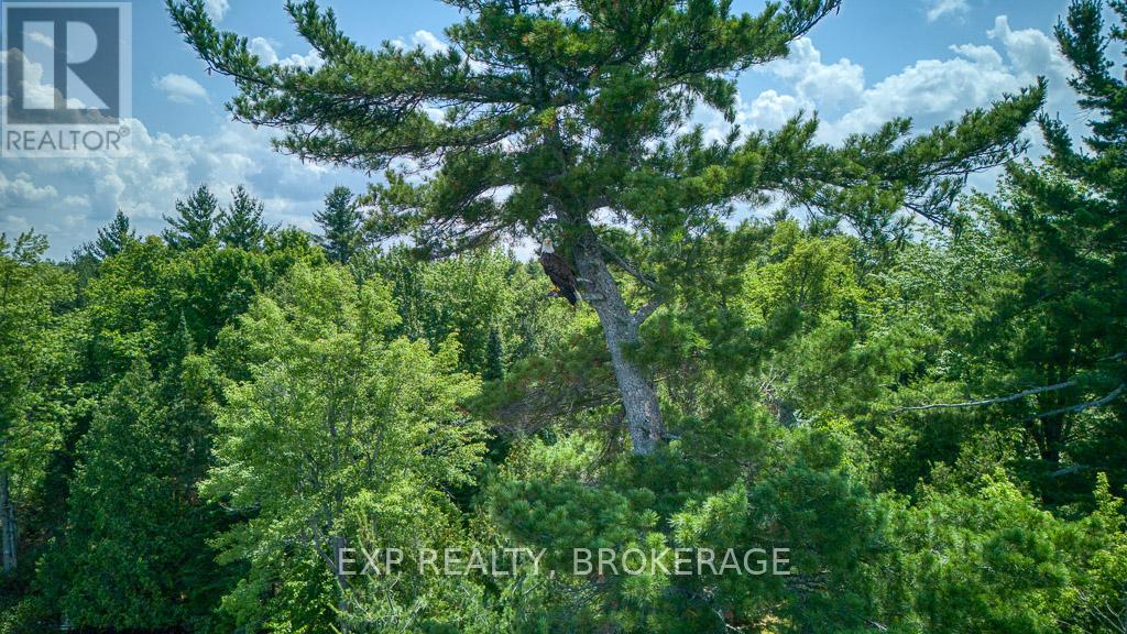 C Island, Frontenac, Ontario  K0H 2P0 - Photo 24 - X12283496