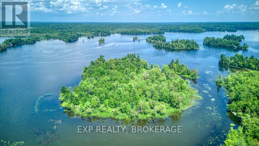 C Island, Frontenac, Ontario  K0H 2P0 - Photo 28 - X12283496