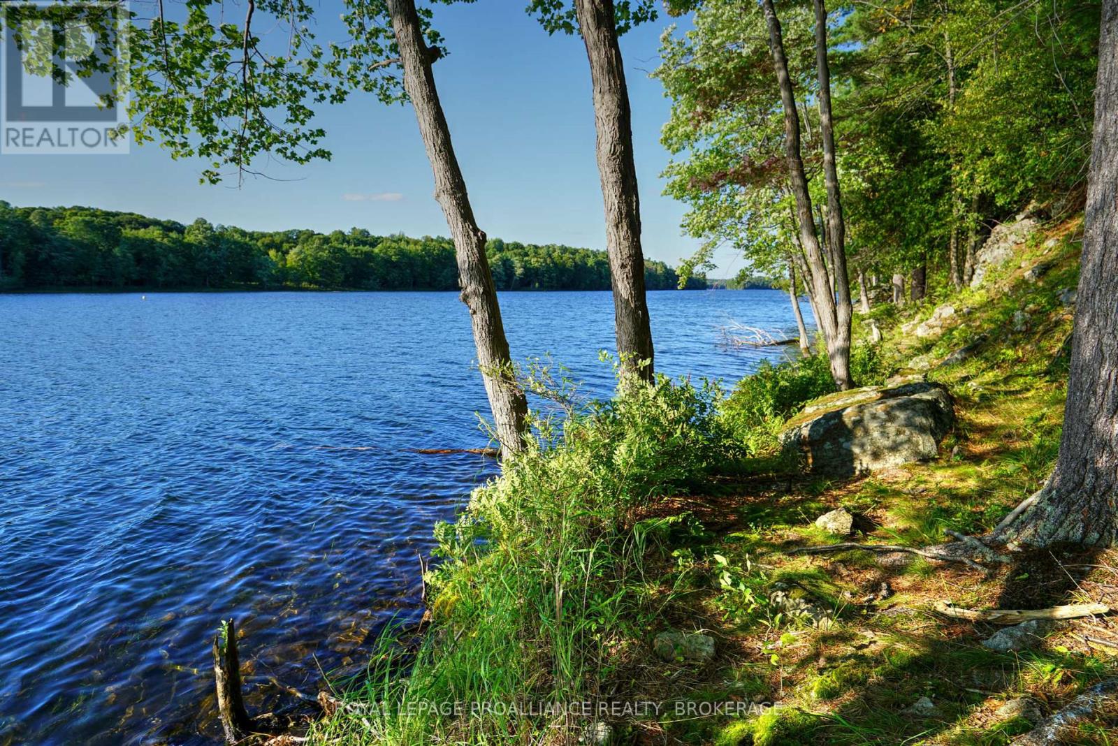 Lot 3 Kismet Lane, Frontenac, Ontario  K0H 2L0 - Photo 19 - X12283770