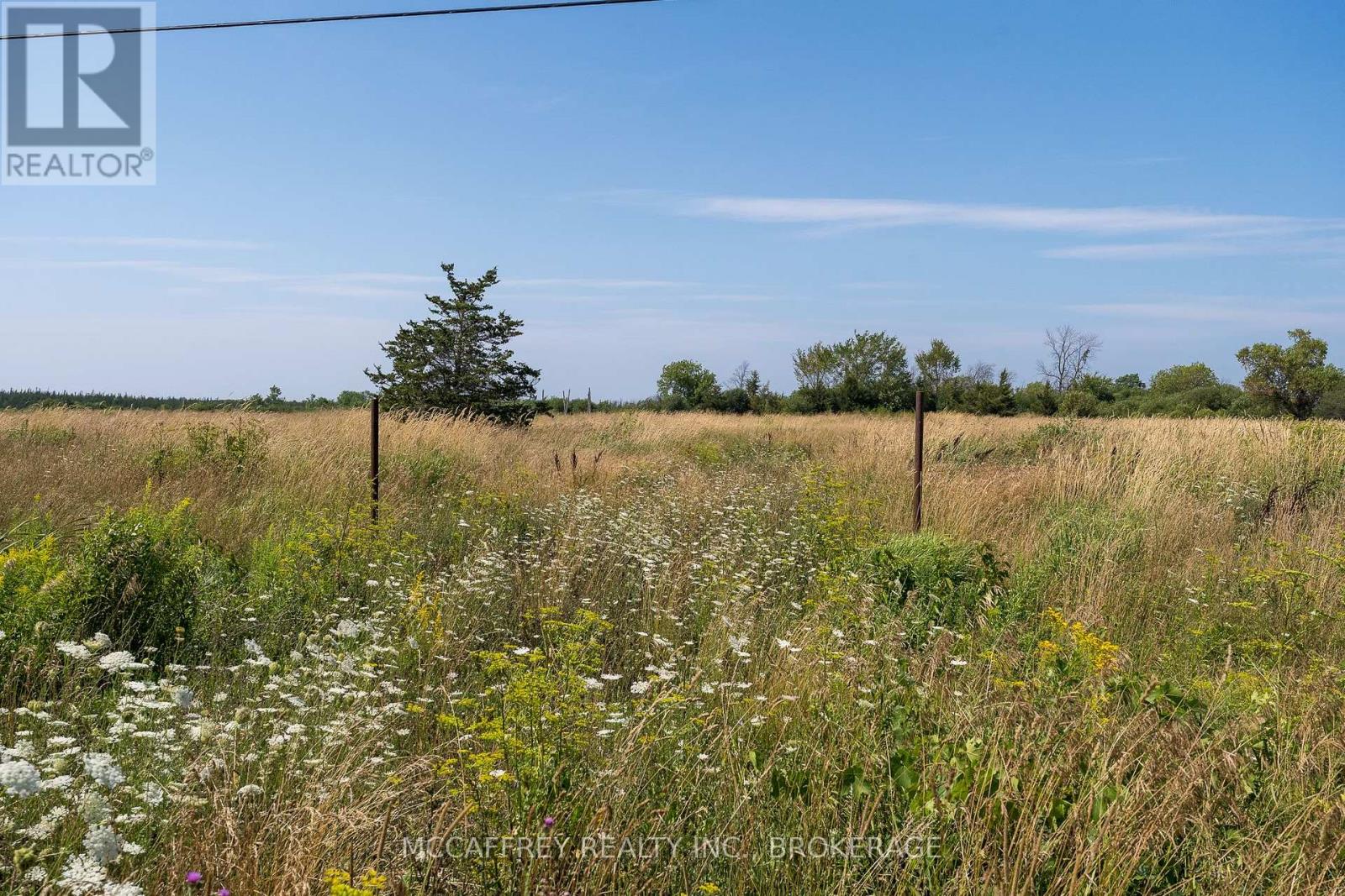 0 Highway 2, Tyendinaga, Ontario  K0K 2N0 - Photo 9 - X12313949