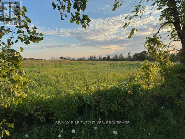 3878 County Rd 8, Greater Napanee, Ontario K7R 3K7 - Photo 3 - X12316861