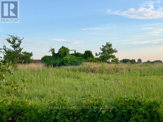 3878 County Rd 8, Greater Napanee, Ontario K7R 3K7 - Photo 4 - X12316861