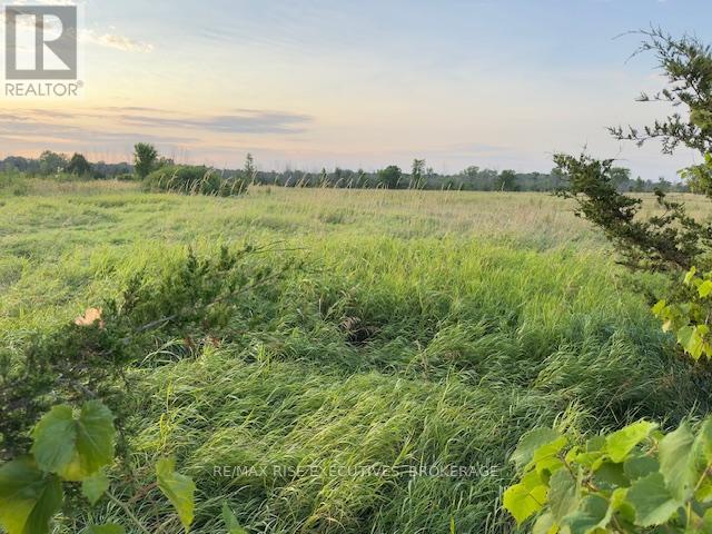 3878 County Rd 8, Greater Napanee, Ontario K7R 3K7 - Photo 5 - X12316861