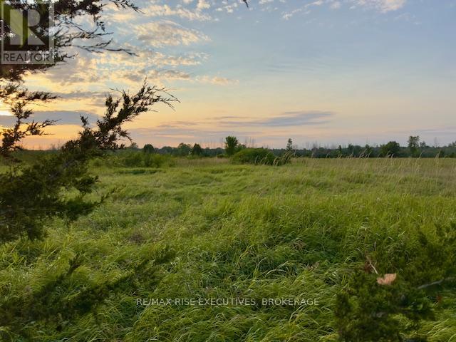 3878 County Rd 8, Greater Napanee, Ontario K7R 3K7 - Photo 6 - X12316861