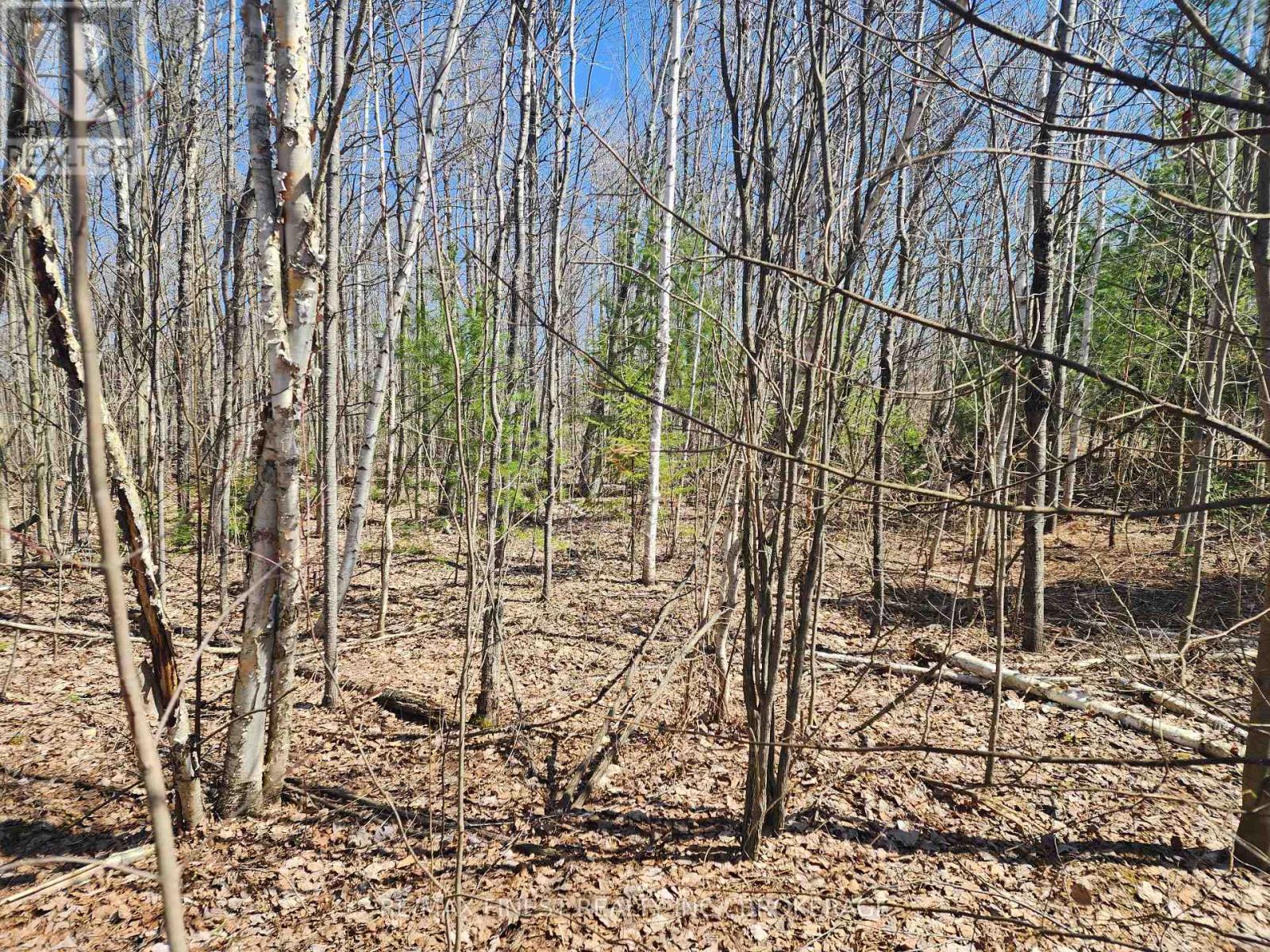 1581 Kinsella Drive, Ottawa, Ontario K4C 0B2 - Photo 7 - X12319041