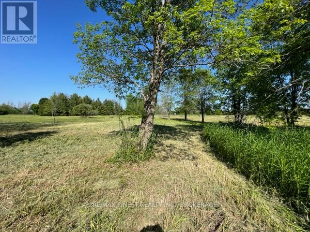 Pt Lt 14 Little Creek Road, Greater Napanee, Ontario  K7R 3K7 - Photo 37 - X12319284