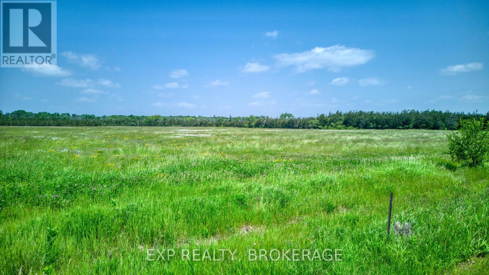 121 Ivy Ridge Road, Prince Edward County, Ontario  K0K 1T0 - Photo 45 - X12341680