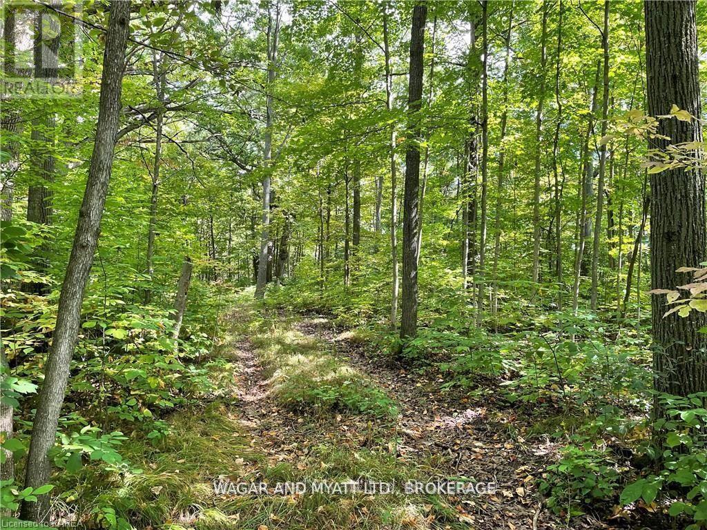.. Bridge Street W, Greater Napanee, Ontario  K7R 3L1 - Photo 10 - X12383476