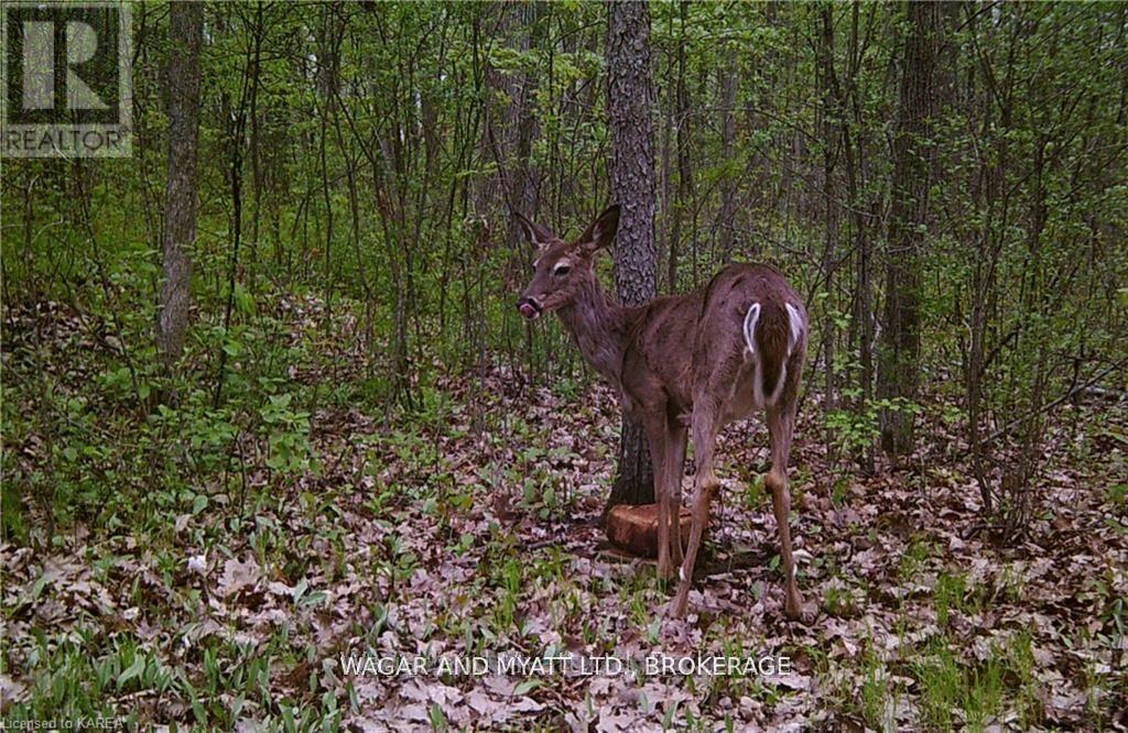 .. Bridge Street W, Greater Napanee, Ontario  K7R 3L1 - Photo 12 - X12383476