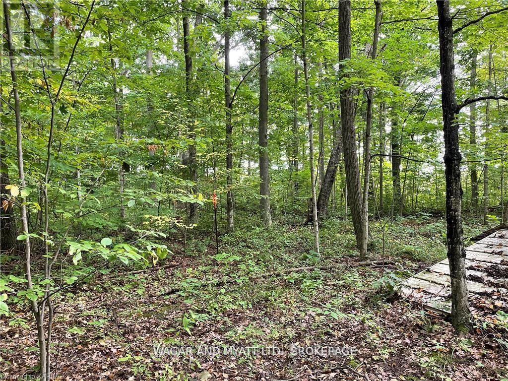 .. Bridge Street W, Greater Napanee, Ontario  K7R 3L1 - Photo 3 - X12383476