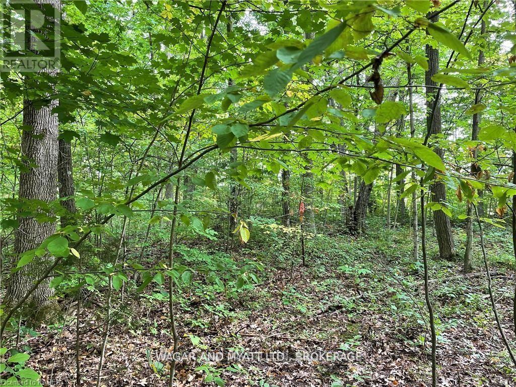 .. Bridge Street W, Greater Napanee, Ontario  K7R 3L1 - Photo 4 - X12383476