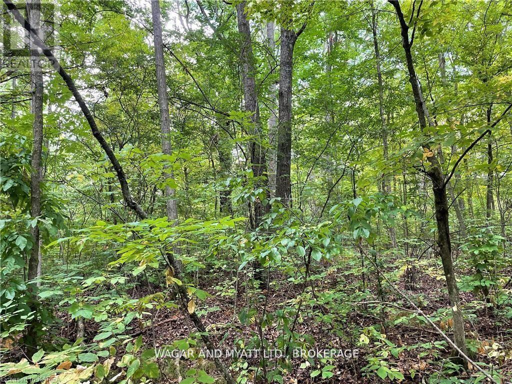 .. Bridge Street W, Greater Napanee, Ontario  K7R 3L1 - Photo 5 - X12383476