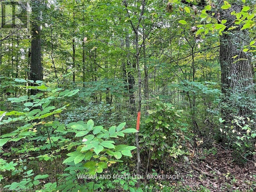 .. Bridge Street W, Greater Napanee, Ontario  K7R 3L1 - Photo 6 - X12383476