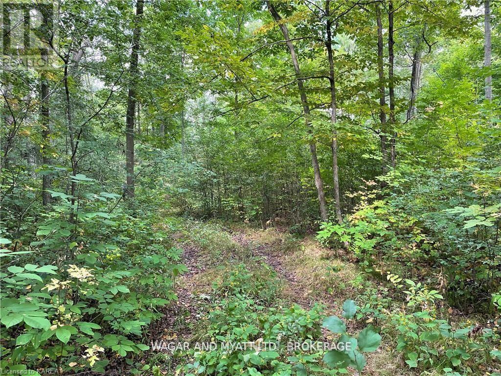 .. Bridge Street W, Greater Napanee, Ontario  K7R 3L1 - Photo 7 - X12383476