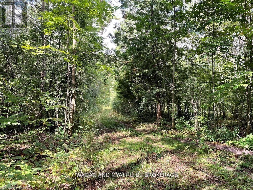 .. Bridge Street W, Greater Napanee, Ontario  K7R 3L1 - Photo 8 - X12383476