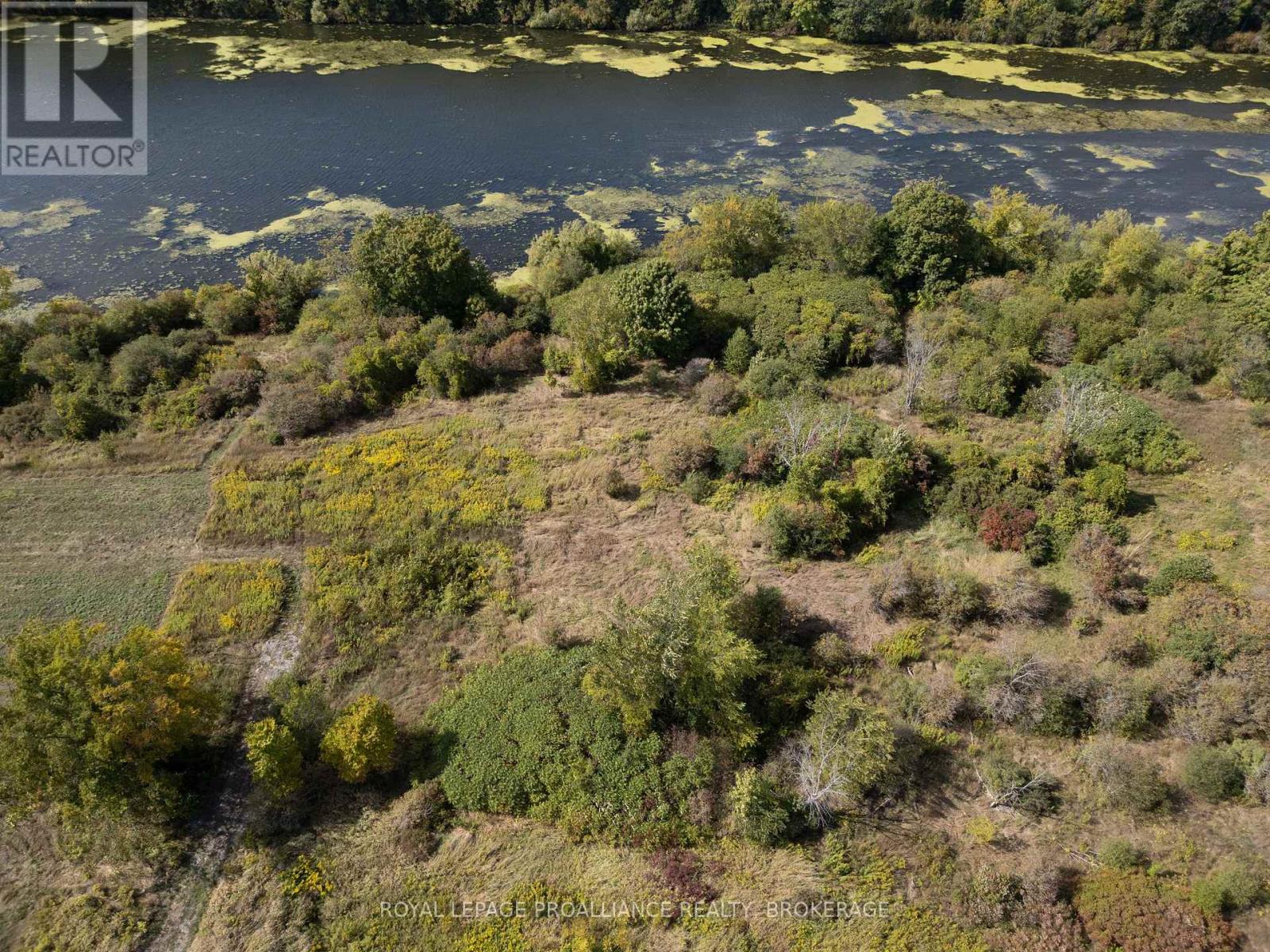 114 Hineman Street, Kingston, Ontario  K7L 0G2 - Photo 3 - X12388302