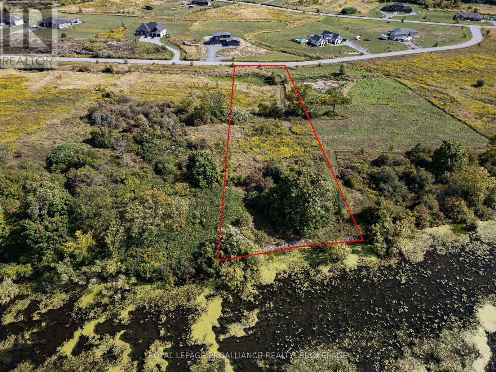 114 Hineman Street, Kingston, Ontario  K7L 0G2 - Photo 6 - X12388302