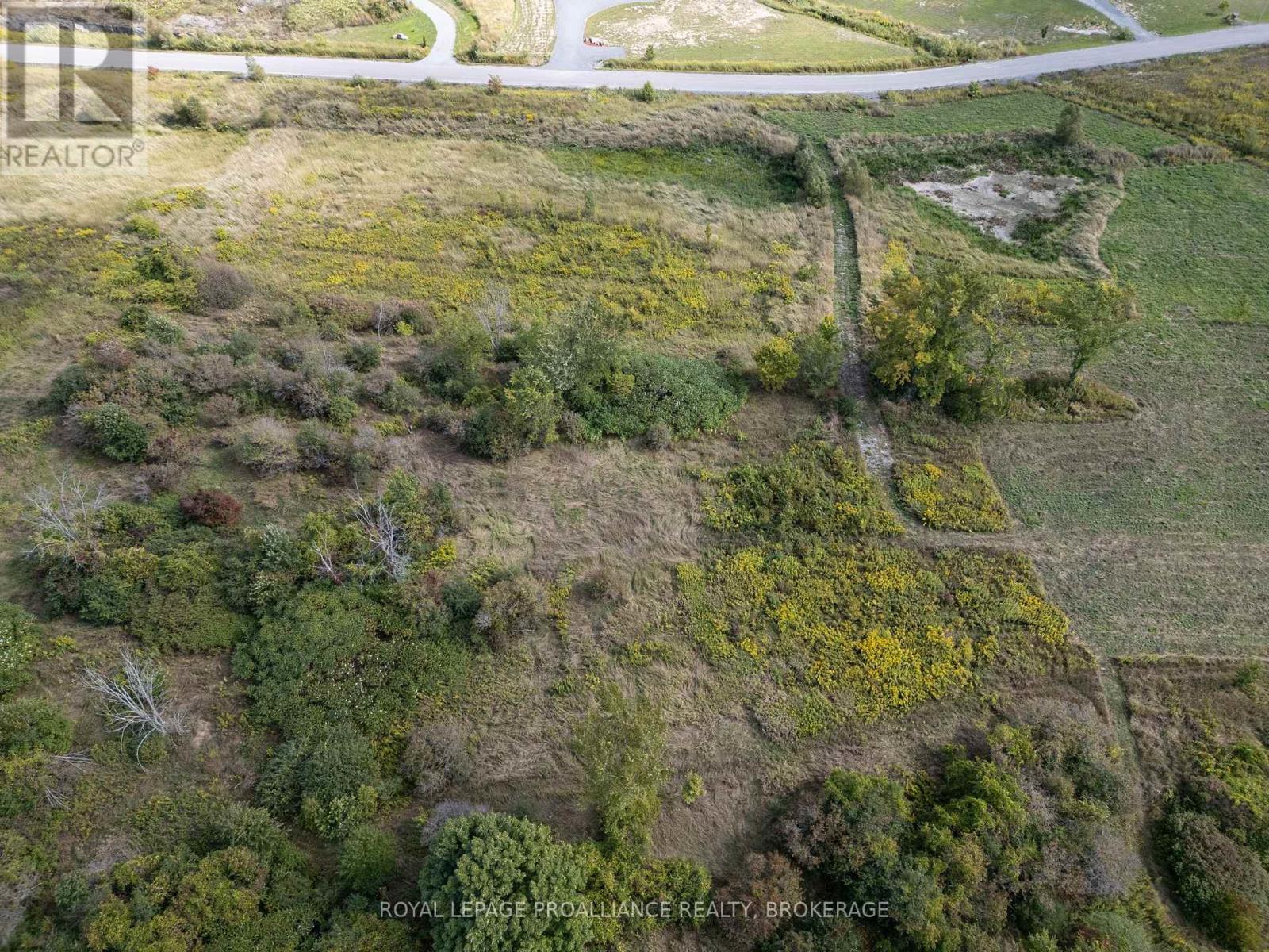 114 Hineman Street, Kingston, Ontario  K7L 0G2 - Photo 7 - X12388302