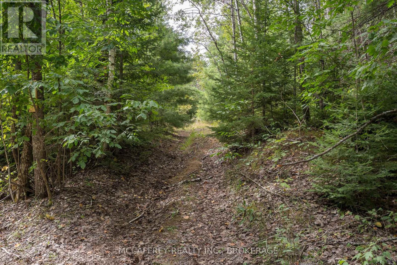 0 Flying Club Road, Greater Madawaska, Ontario K7R 2Z6 - Photo 35 - X12393865