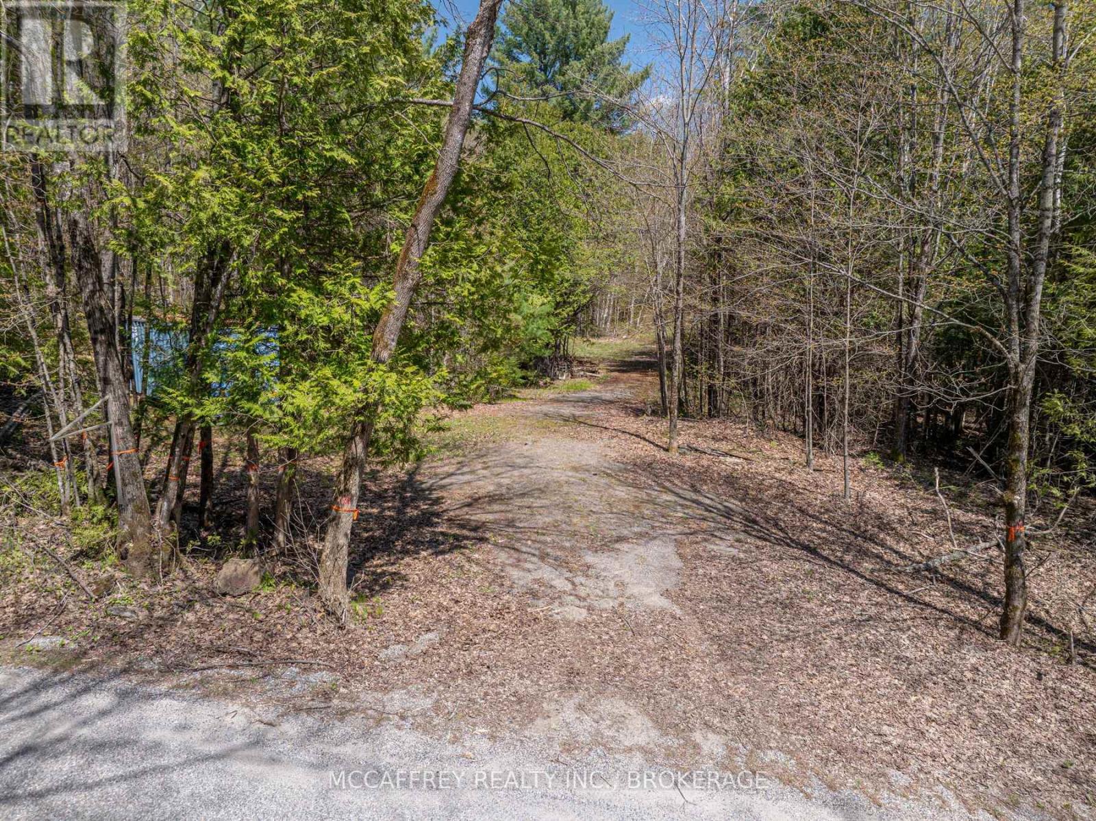 1088 Kashwakamak Lake Road, Frontenac, Ontario K0H 1B0 - Photo 2 - X12400172