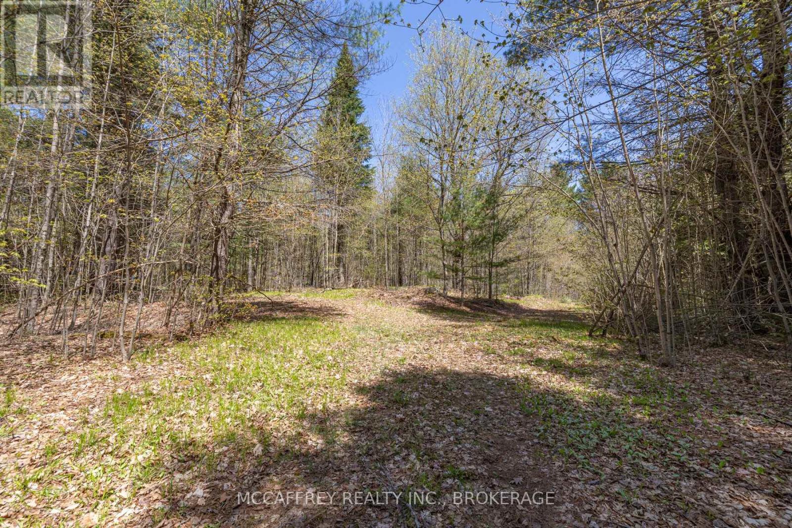 1088 Kashwakamak Lake Road, Frontenac, Ontario K0H 1B0 - Photo 35 - X12400172