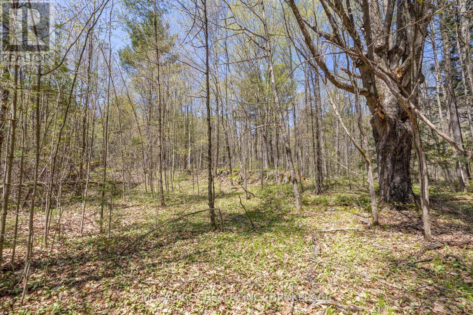 1088 Kashwakamak Lake Road, Frontenac, Ontario K0H 1B0 - Photo 46 - X12400172