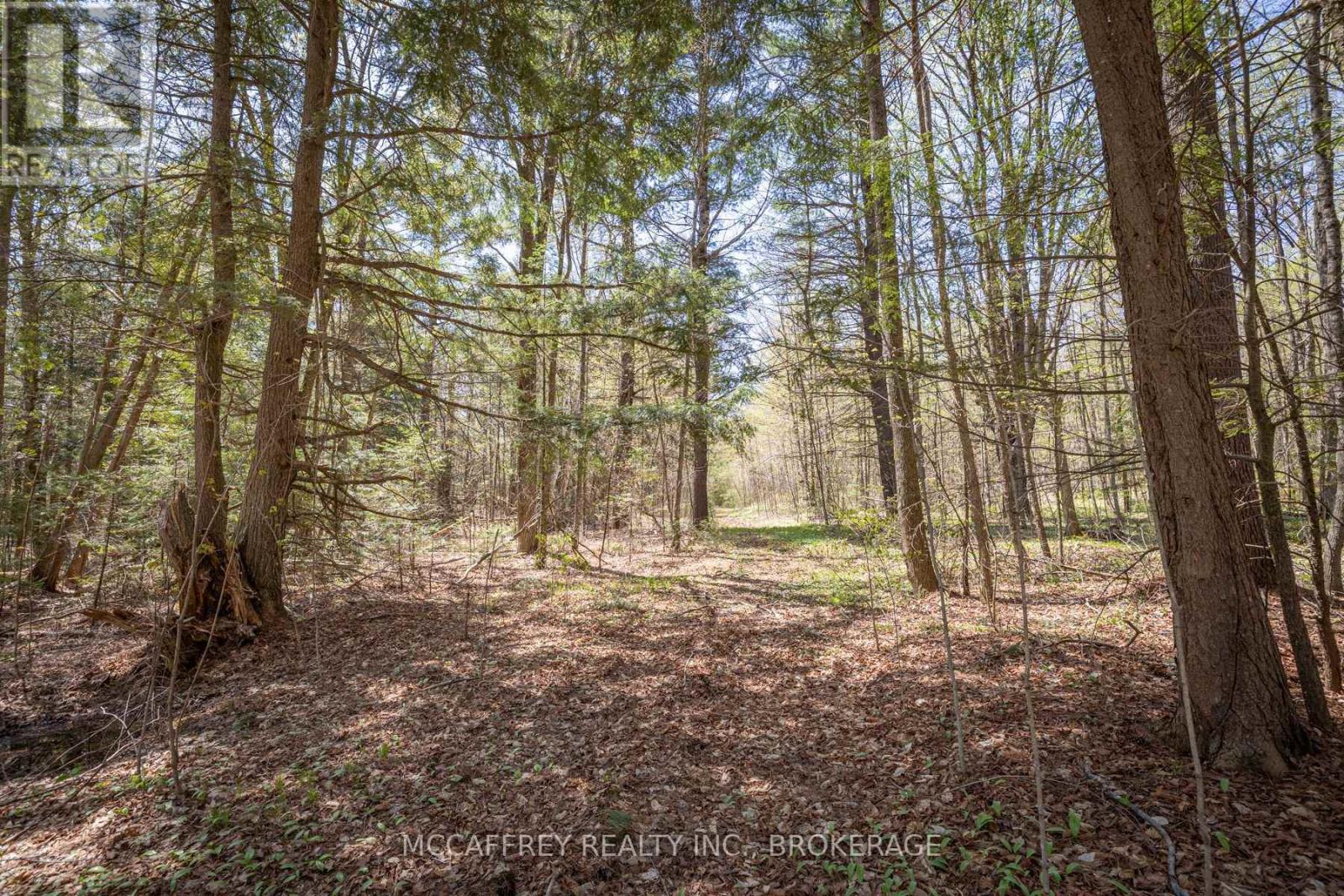 1088 Kashwakamak Lake Road, Frontenac, Ontario K0H 1B0 - Photo 47 - X12400172