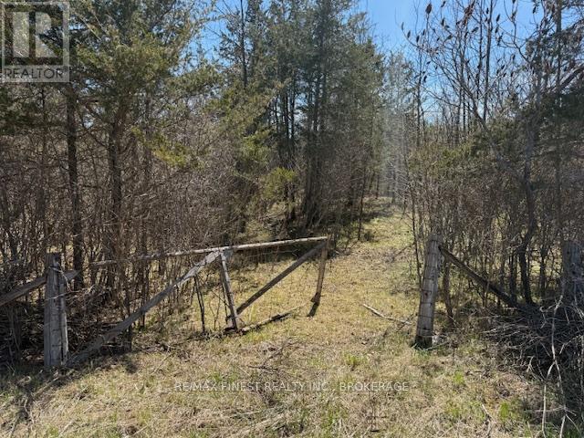 580 Love Road, Loyalist, Ontario  K0H 2H0 - Photo 2 - X12407014