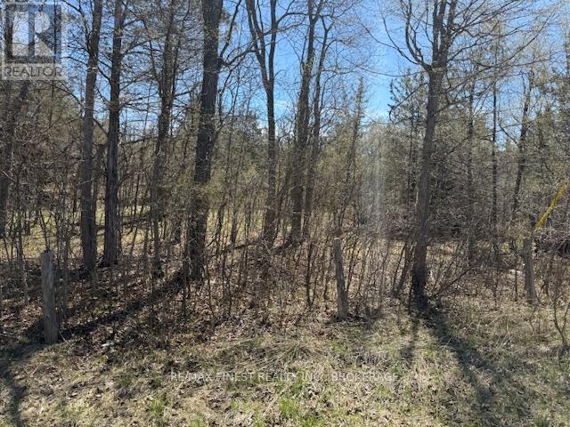 580 Love Road, Loyalist, Ontario  K0H 2H0 - Photo 5 - X12407014