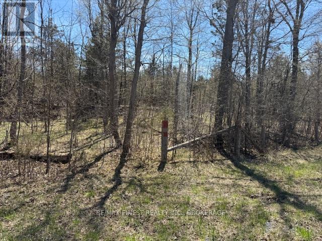 580 Love Road, Loyalist, Ontario  K0H 2H0 - Photo 6 - X12407014