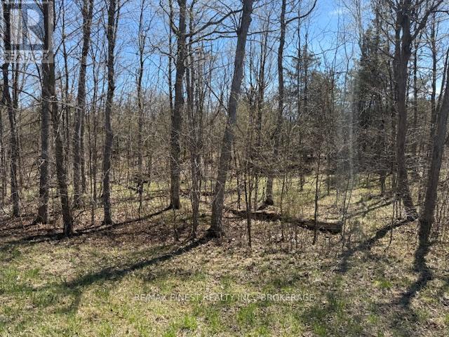 580 Love Road, Loyalist, Ontario  K0H 2H0 - Photo 7 - X12407014