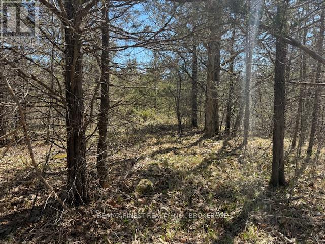 580 Love Road, Loyalist, Ontario  K0H 2H0 - Photo 9 - X12407014