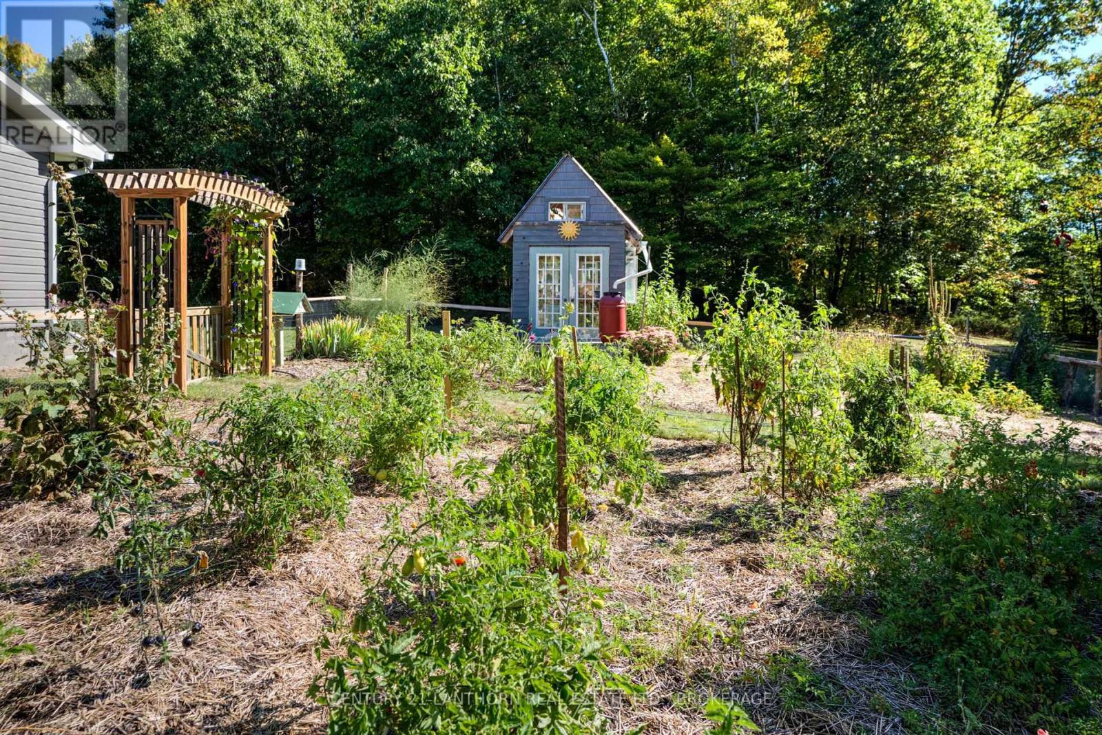 1773 County Road 15 Road, Stone Mills, Ontario  K0K 3G0 - Photo 9 - X12410378