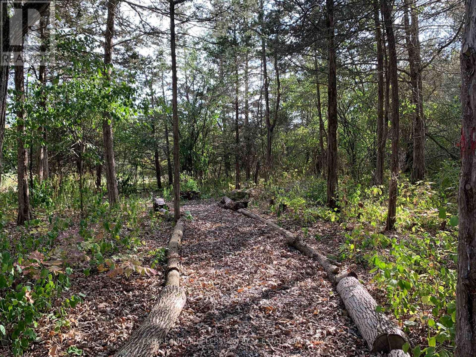 1714 County Rd 9, Greater Napanee, Ontario  K7R 3K8 - Photo 29 - X12419675