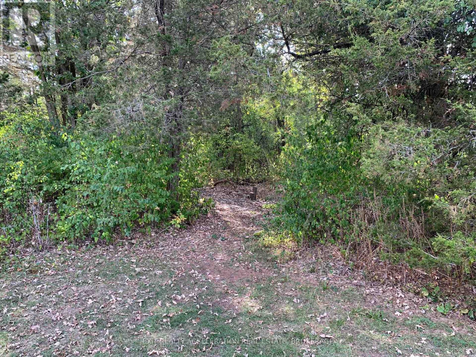 1714 County Rd 9, Greater Napanee, Ontario  K7R 3K8 - Photo 30 - X12419675