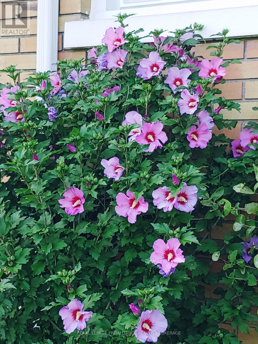 2292 Mcintyre Road, Loyalist, Ontario K0H 1G0 - Photo 46 - X12420599