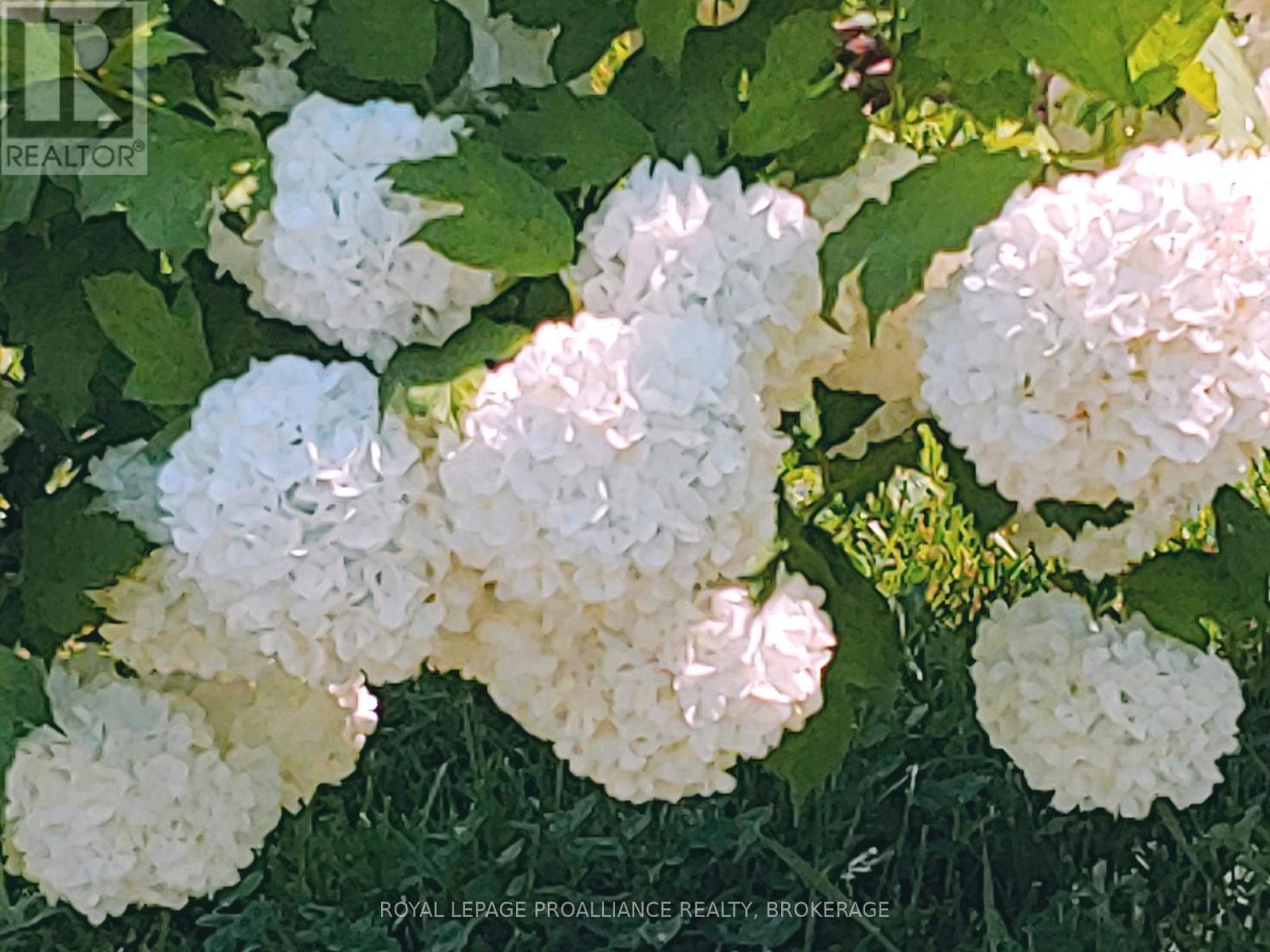 2292 Mcintyre Road, Loyalist, Ontario K0H 1G0 - Photo 47 - X12420599