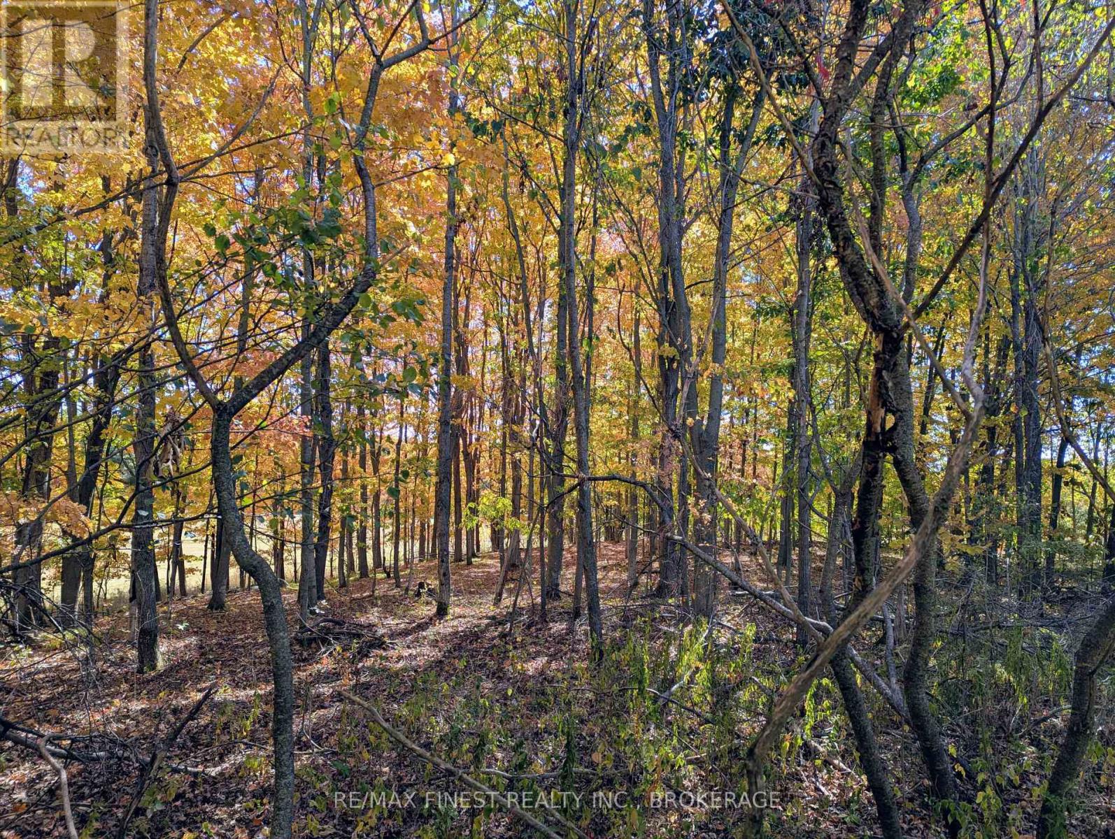 6224 Battersea Road, Frontenac, Ontario  K0H 1H0 - Photo 13 - X12421831